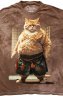 Футболка Q-Printim - Кот-Сэнсэй