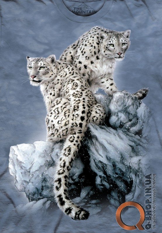 Футболка The Mountain - High on Top
