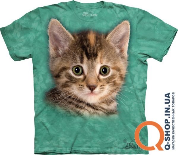 10_8186_Tyler the Kitten.jpg