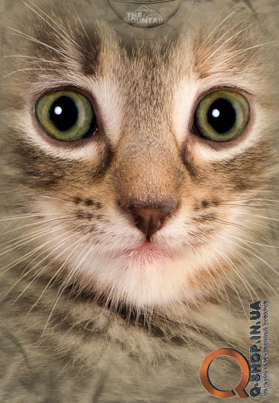 Футболка The Mountain - Kitten Face