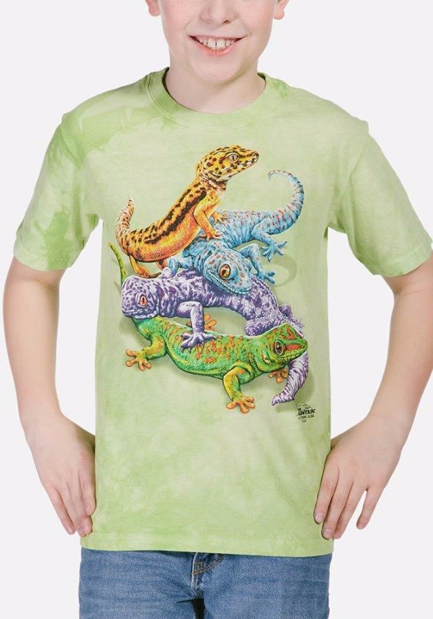 Футболка Mountain - Geckos