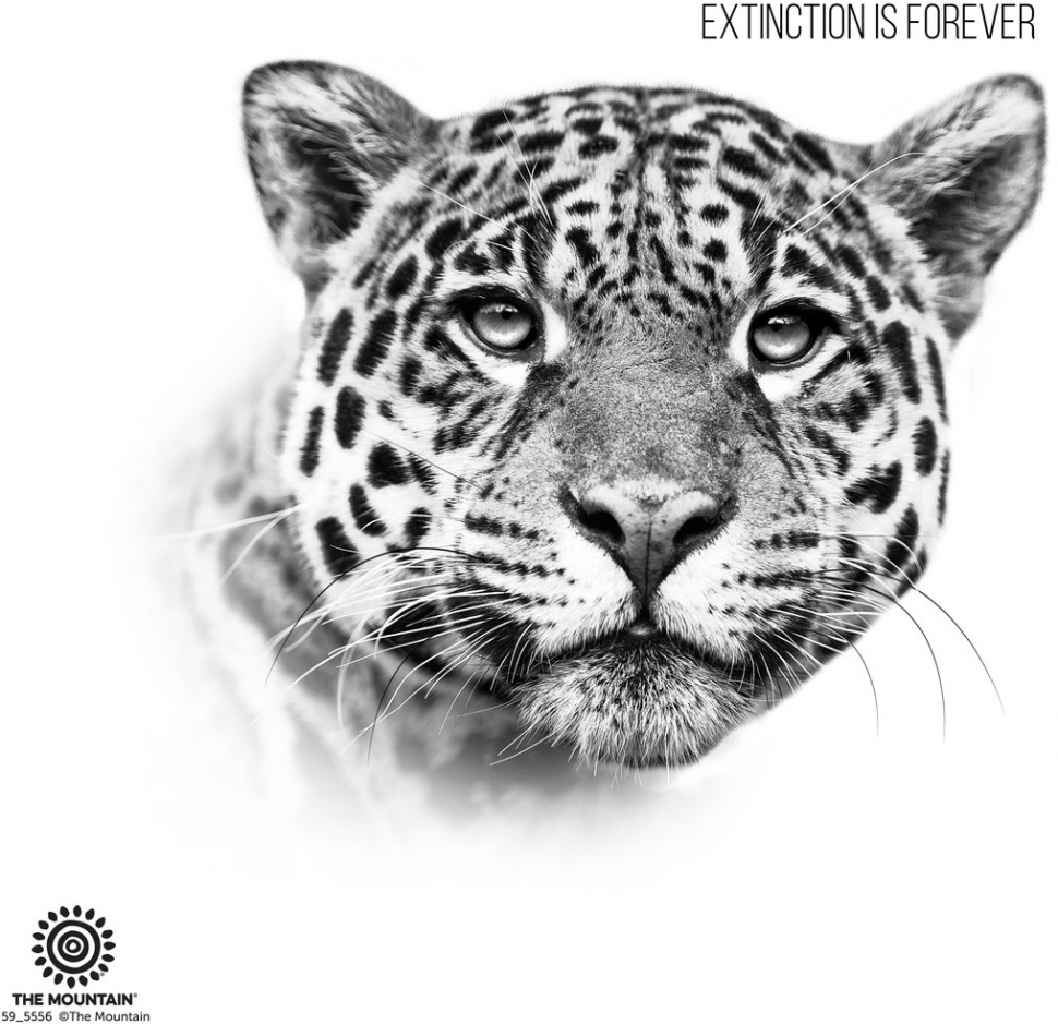 Термокружка Mountain - Leopard Extinction