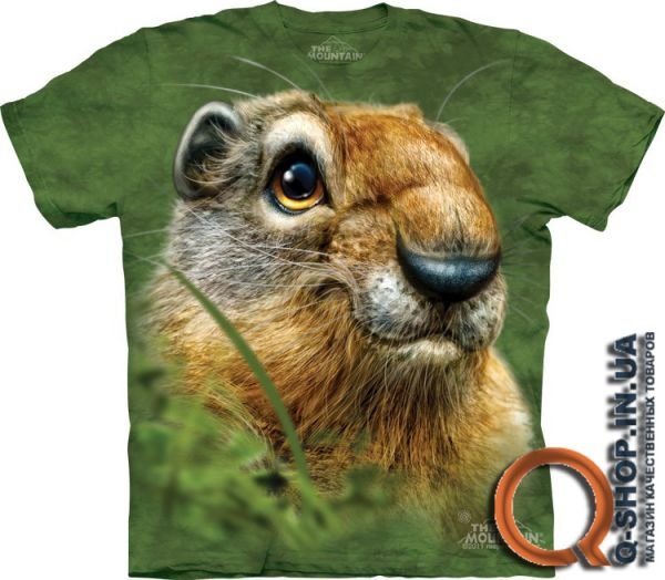 10_3583_Ground Squirrel.jpg