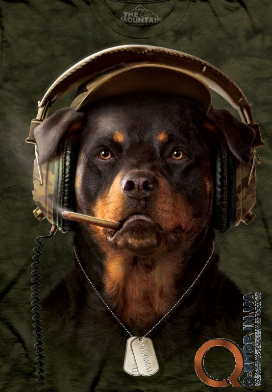 Футболка The Mountain - DJ SARGE