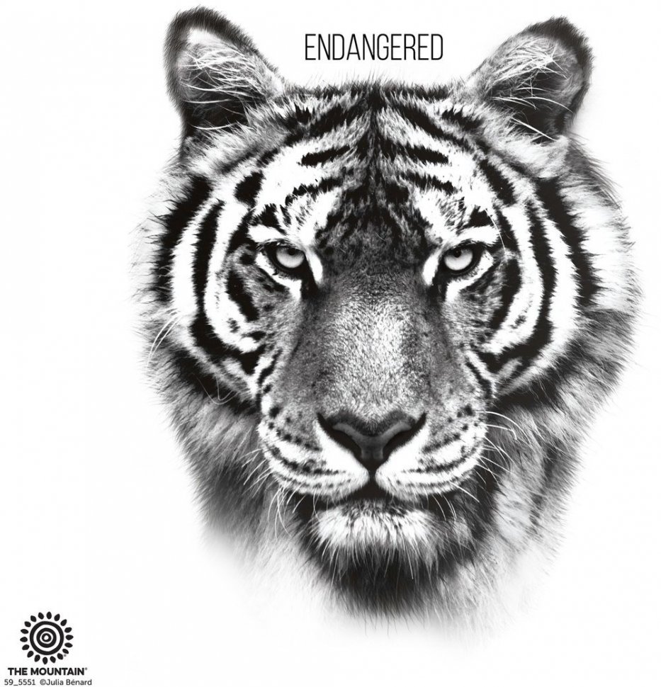 Термокружка Mountain - Endangered