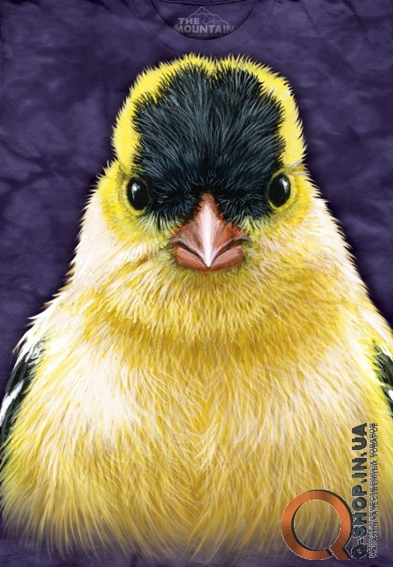 3D футболка Mountain  - Goldfinch
