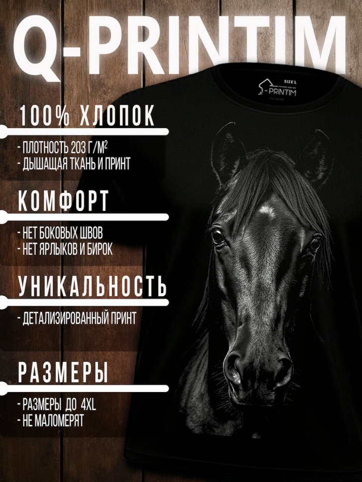 Футболка Q-Printim - Меланхолия силы