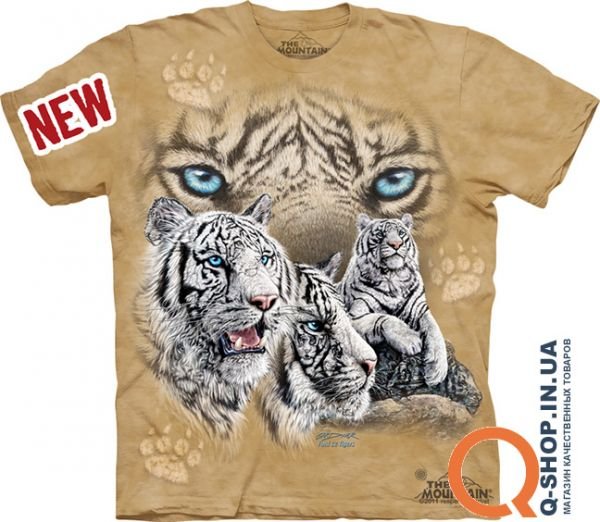 10_3462_Find 12 Tigersws.jpg