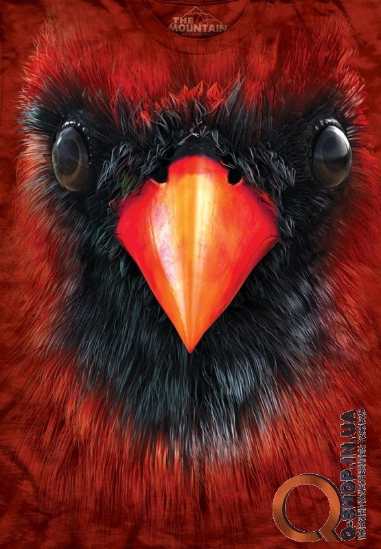 Футболка The Mountain - Cardinal Face