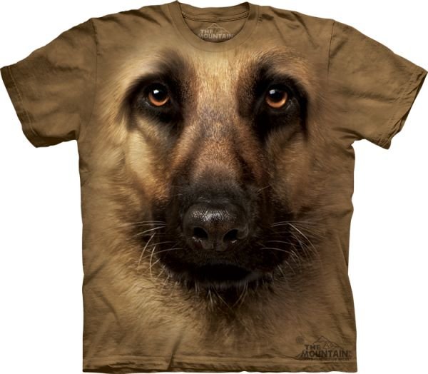 German_Shepherd_Face_10_3258td.jpg