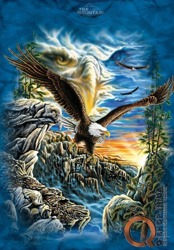 Футболка The Mountain - Find 11 Eagles
