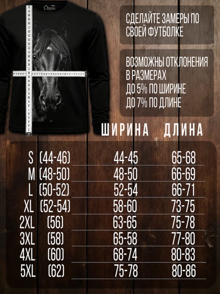 Лонгслив Q-Printim -  Меланхолия силы