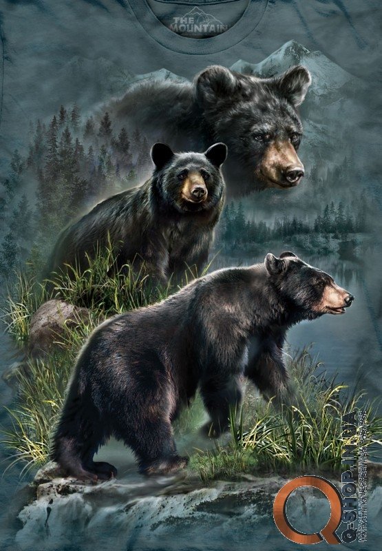 Футболка The Mountain - Three Black Bears