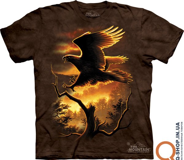 Golden_Eagle_10_1219.jpg