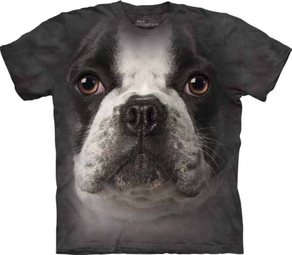 S_FRENCH_BULLDOG_FACE_10_3440a0.jpg