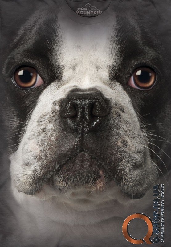 Футболка The Mountain - FRENCH BULLDOG FACE