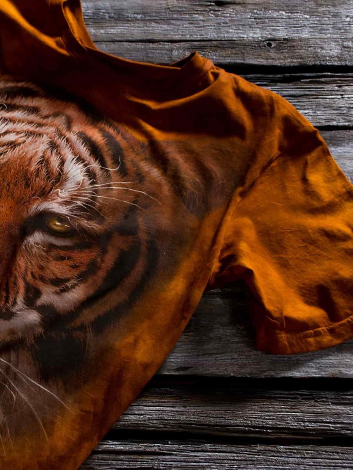 Мужская футболка Krasar Амурский Тигр