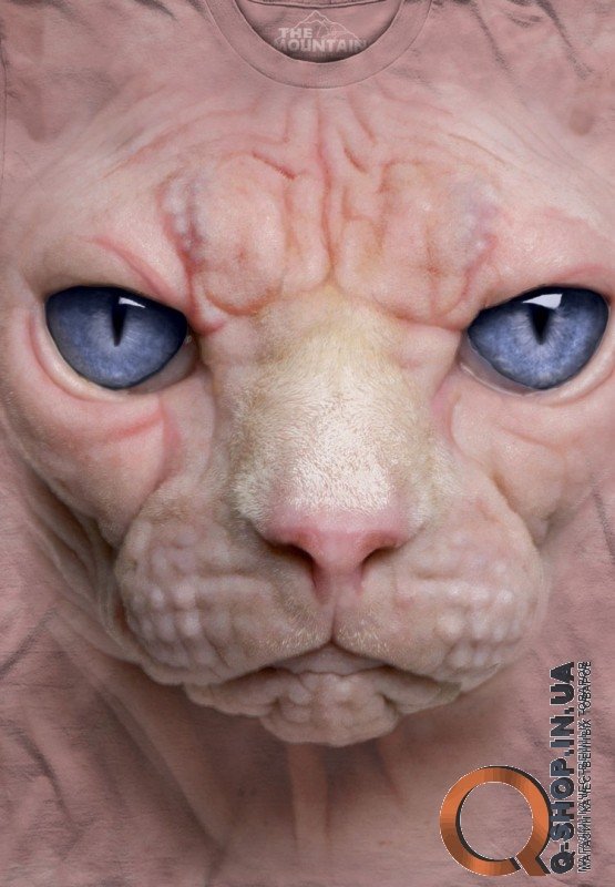 3D футболка Mountain  - Hairless Pussycat Face