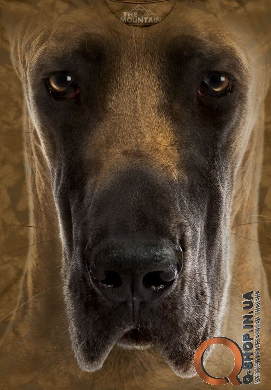 Футболка The Mountain - GREAT DANE FACE