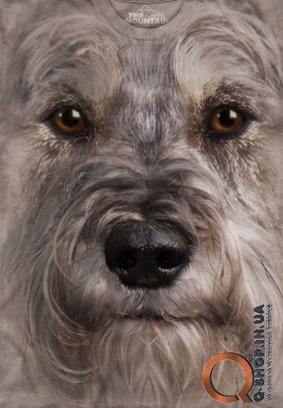 Футболка The Mountain - Miniature Schnauzer