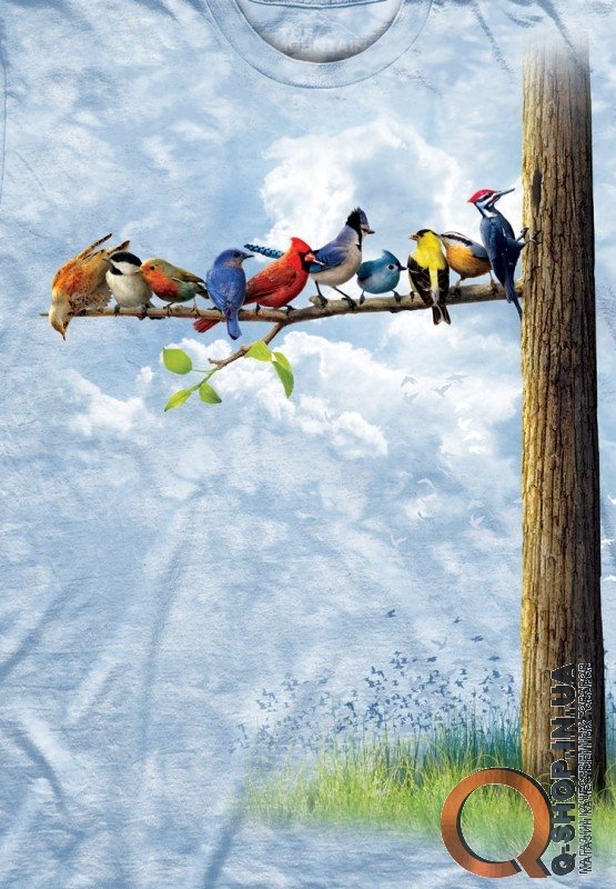 Футболка The Mountain - Bird Tree