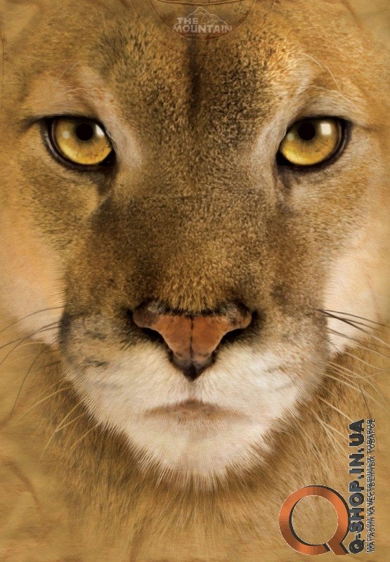 3D футболка Mountain  - Mountain Lion