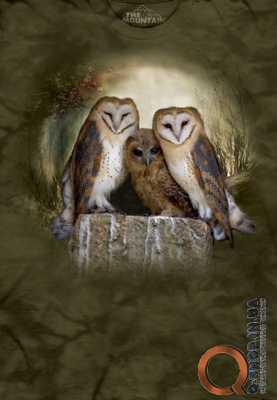 Футболка The Mountain - Three Owl Moon
