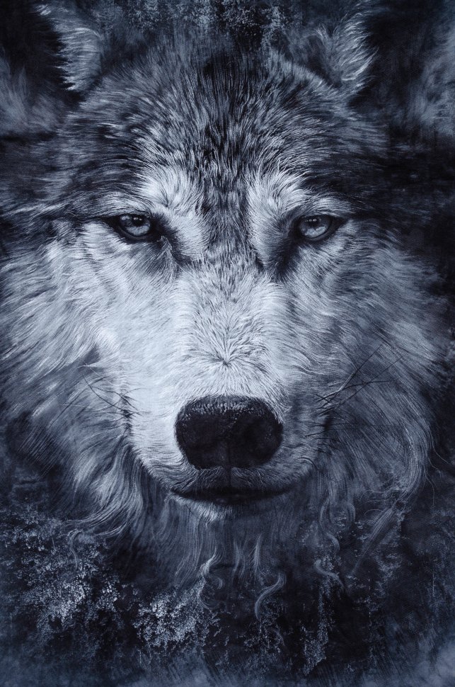 Мужская футболка Krasar Волк серый