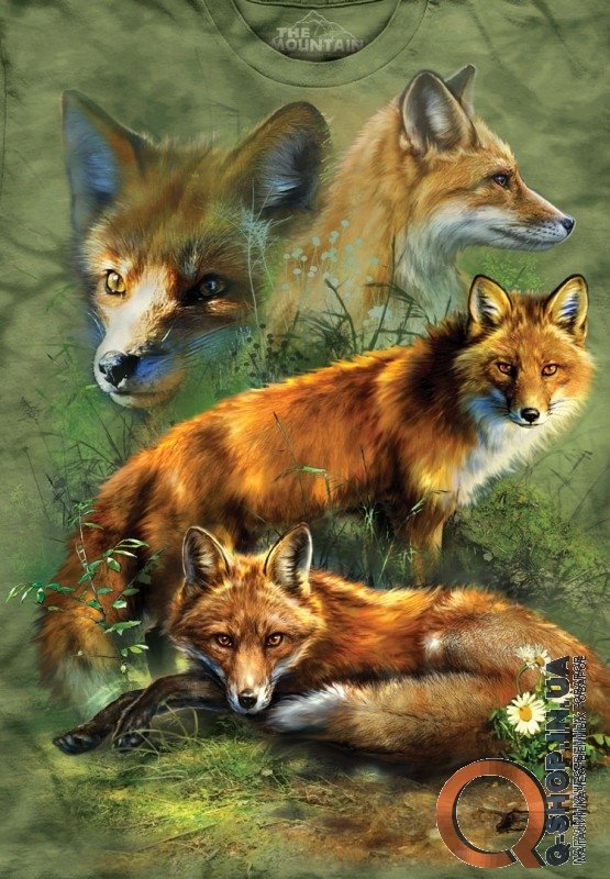 Футболка The Mountain - Red Fox Collage