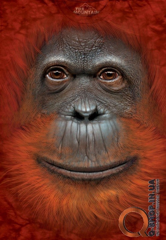 Футболка The Mountain - Orangutan Face