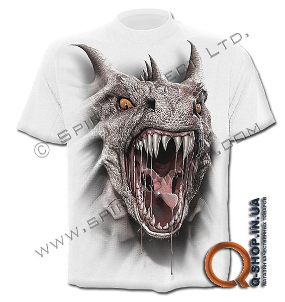 TR339619_FR_ZP_ROAR OF THE DRAGON.jpg