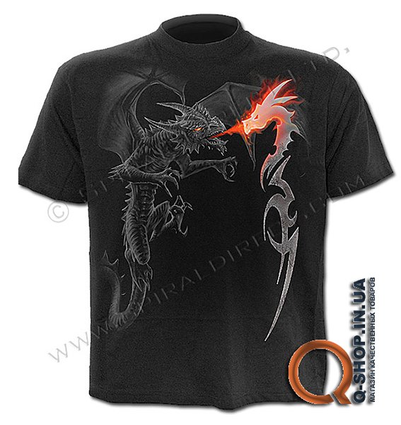 WM103600_FR_ZP_DRAGON BLAZE.jpg