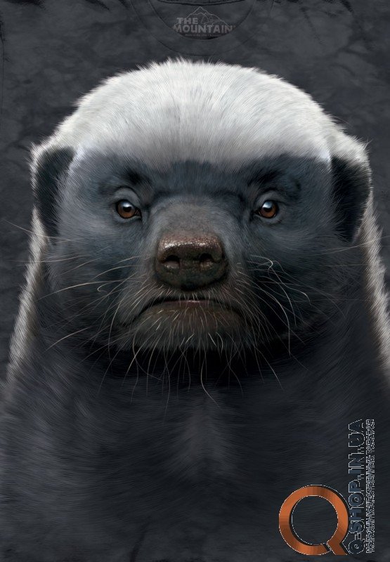 Футболка The Mountain - Honey Badger