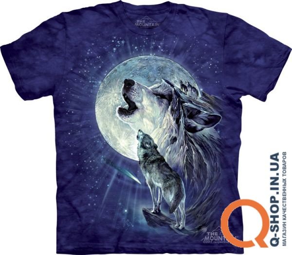 10_3475_Full Moon Gravity.jpg