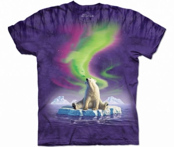 s_ch_POLAR_VISION10_3009ug.jpg