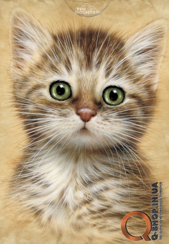 Футболка The Mountain - Brown Striped Kitten