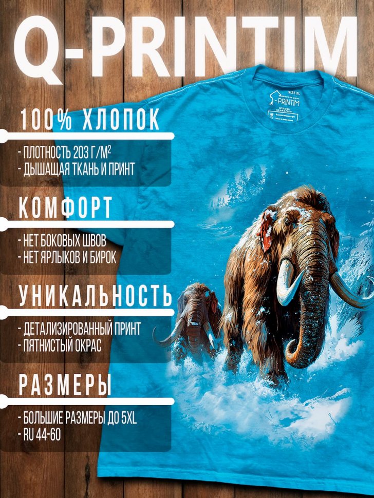 Футболка Q-Printim - Ледяная тропа