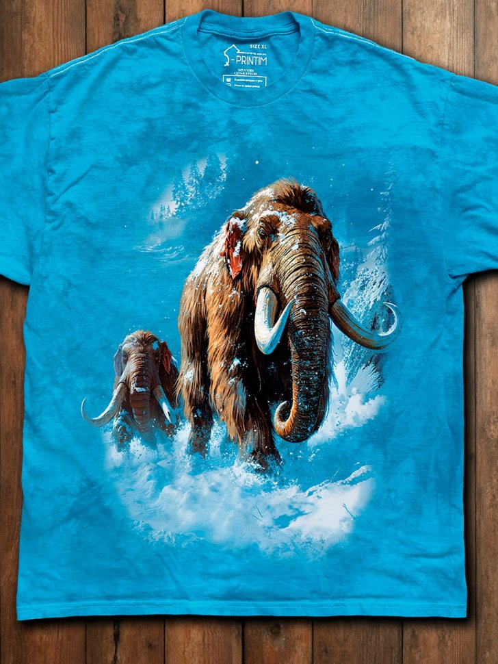 Футболка Q-Printim - Ледяная тропа