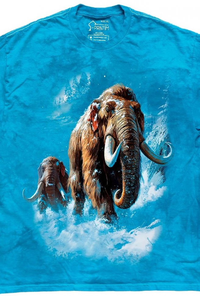 Футболка Q-Printim - Ледяная тропа