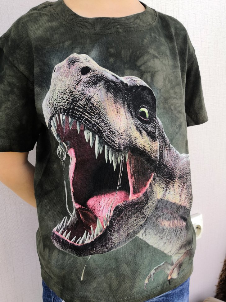 3D футболка Mountain  - T-Rex Roar